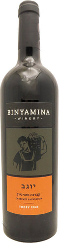 Binyamina Yogev Cabernet Sauvignon 2023 750ml