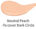 ETUDE - Big Cover Skin Fit Concealer Pro