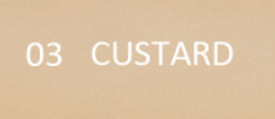 03 CUSTARD