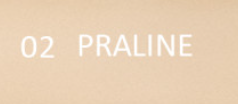 02 PRALINE