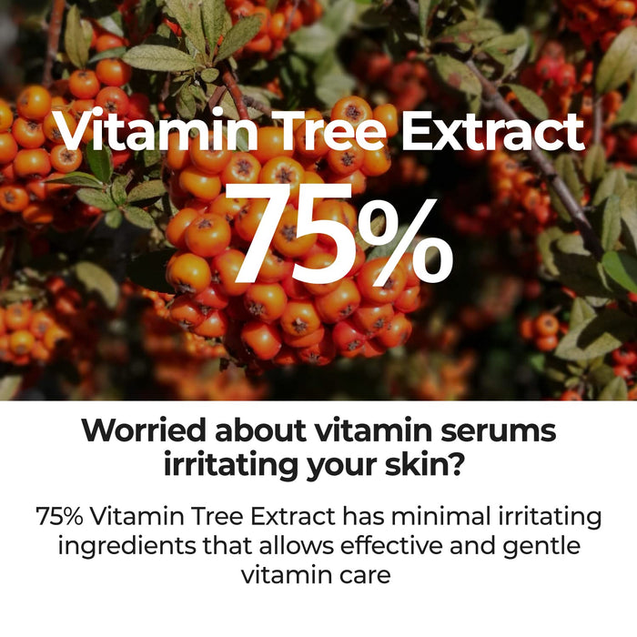 NUMBUZIN - No. 5 Goodbye Blemish Serum
