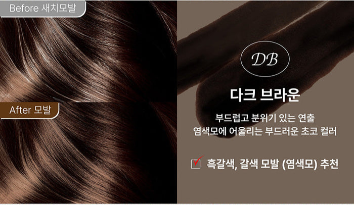 THE SAEM - Silk Hair Color Cream