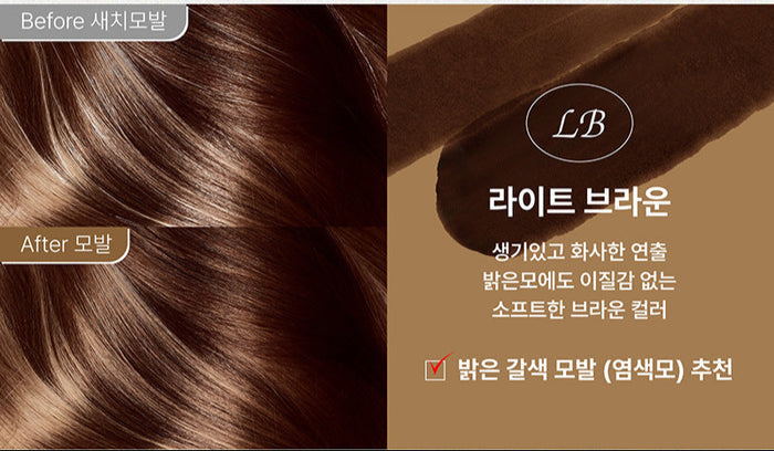THE SAEM - Silk Hair Color Cream