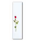 Tomo Rose - White Graphic Griptape